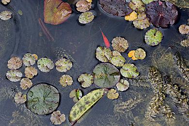 《如龙》开发商：RGG发布会将于9月20日举行